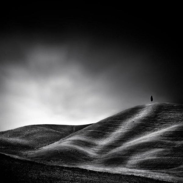 La vie Reprendra au Printemps Piet Flour Leinwandbild La vie Reprendra au Printemps Piet Flour Leinwandbild