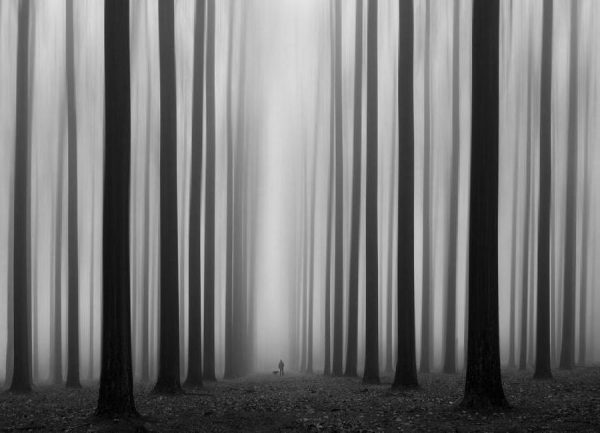 Labyrinth Jochen Bongaerts Leinwandbild Labyrinth Jochen Bongaerts Leinwandbild