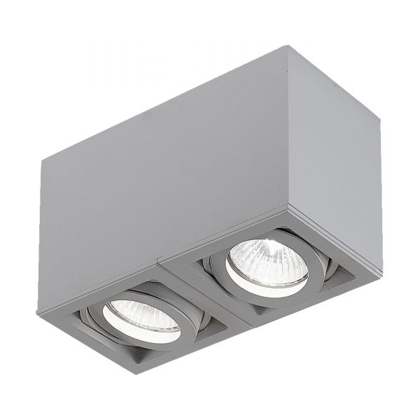 Light Box 2-flammig Deckenstrahler grau Light Box 2-flammig Deckenstrahler grau