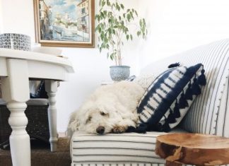 24 Ideas to Bring Spring to Your Home