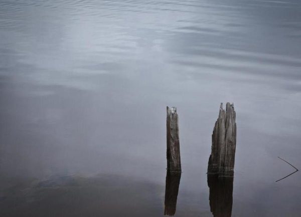 Mississippi Stillness Leinwandbild Mississippi Stillness Leinwandbild
