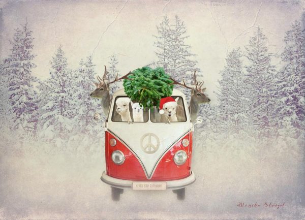 Never Stop Exploring X Mas Leinwandbild Never Stop Exploring X Mas Leinwandbild