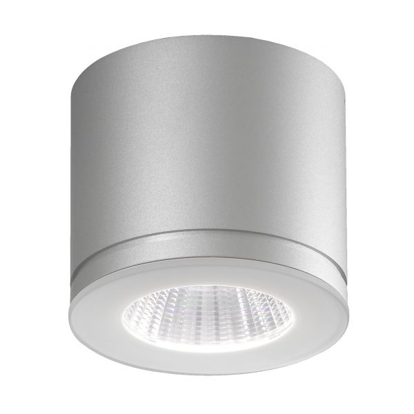 Newton 55 In -und Outdoor LED Deckenstrahler grau Newton 55 In -und Outdoor LED Deckenstrahler grau