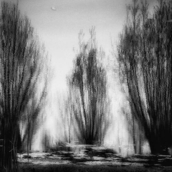 One May day ... Yvette Depaepe Leinwandbild One May day ... Yvette Depaepe Leinwandbild