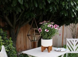 Preparing the Backyard for Sunny Days!
