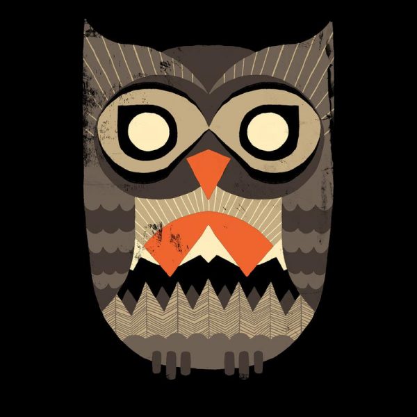 Owl Sunrise Leinwandbild Owl Sunrise Leinwandbild