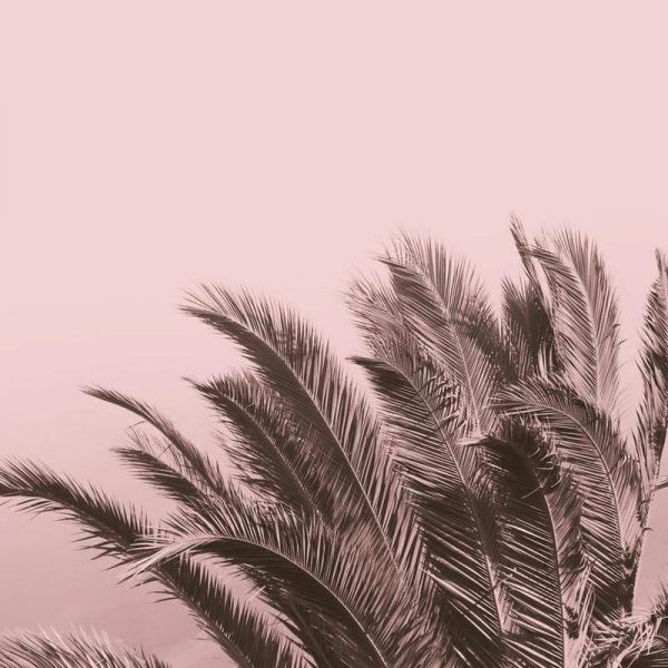 Pink Cape Storm Leinwandbild Pink Cape Storm Leinwandbild