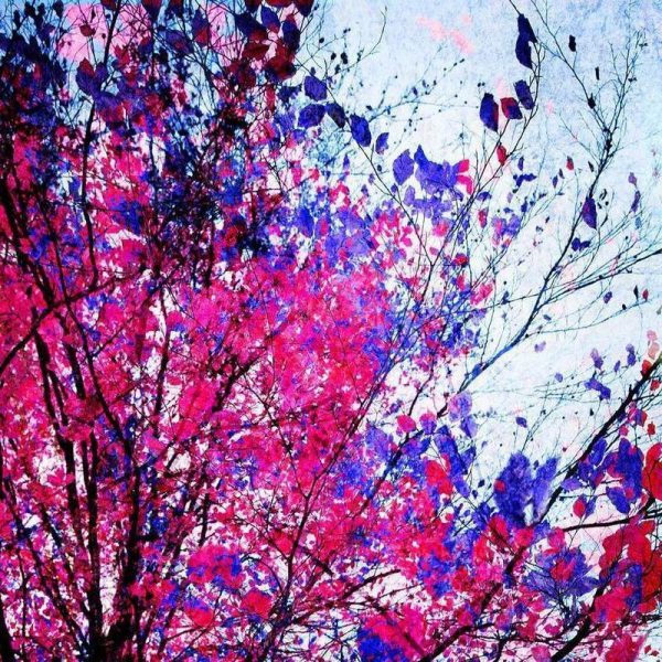 Pink Tree Leinwandbild Pink Tree Leinwandbild