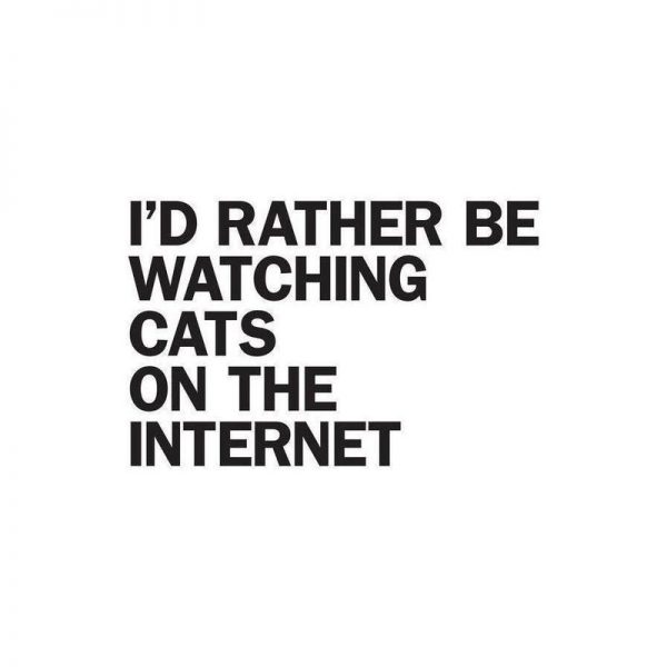 Rather Be Watching Cats Leinwandbild Rather Be Watching Cats Leinwandbild