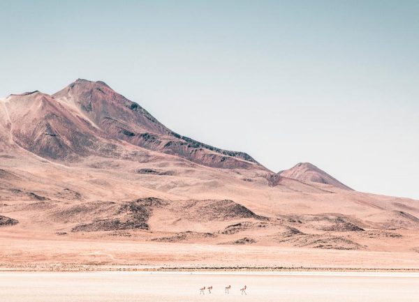Raw 2 Salar de Uyuni Bolivia. Leinwandbild Raw 2 Salar de Uyuni Bolivia. Leinwandbild
