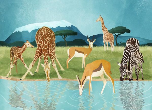Savanna Leinwandbild Savanna Leinwandbild