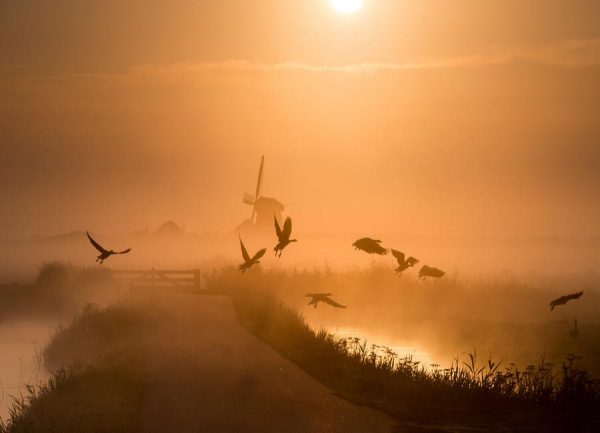 Sunrise Flight Harm Klaverdijk Leinwandbild Sunrise Flight Harm Klaverdijk Leinwandbild