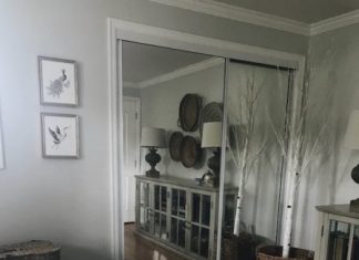 Mirrored Closet Doors