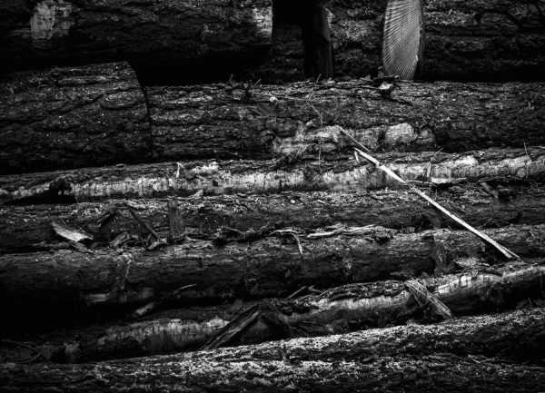 The Logs Leinwandbild The Logs Leinwandbild
