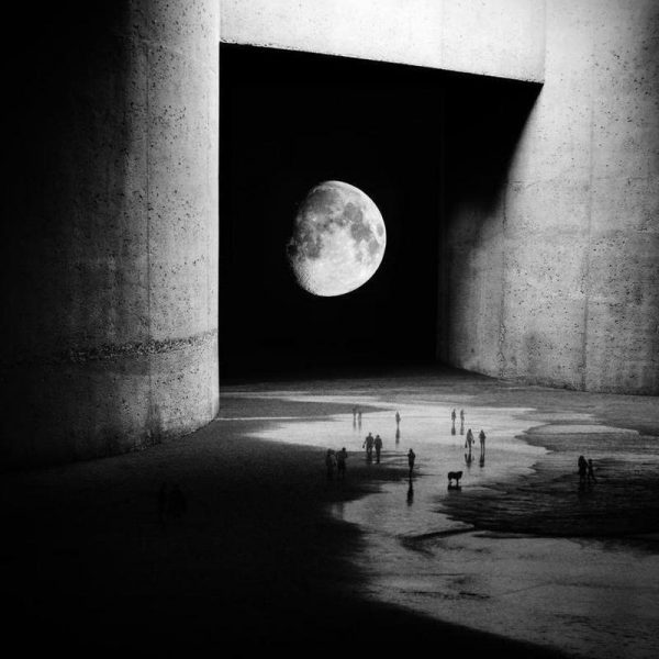 To the Moon Leinwandbild To the Moon Leinwandbild