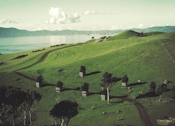 Waiheke Island Leinwandbild Waiheke Island Leinwandbild