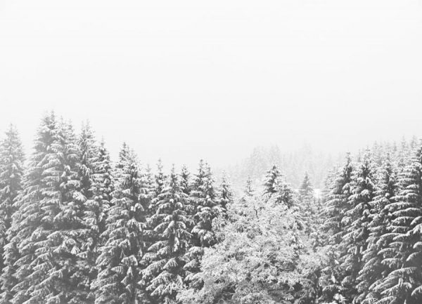 Winter In the Mountains Leinwandbild Winter In the Mountains Leinwandbild