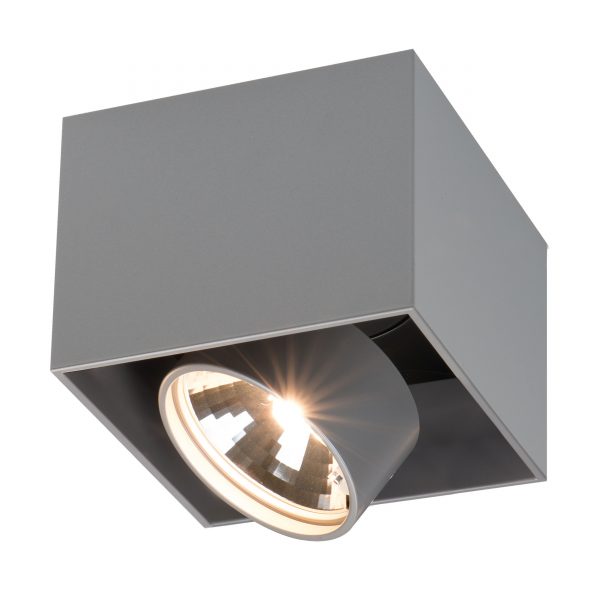 Wittenberg Deckenleuchte wi-ab-1e-kb graumetallic Wittenberg Deckenleuchte wi-ab-1e-kb graumetallic