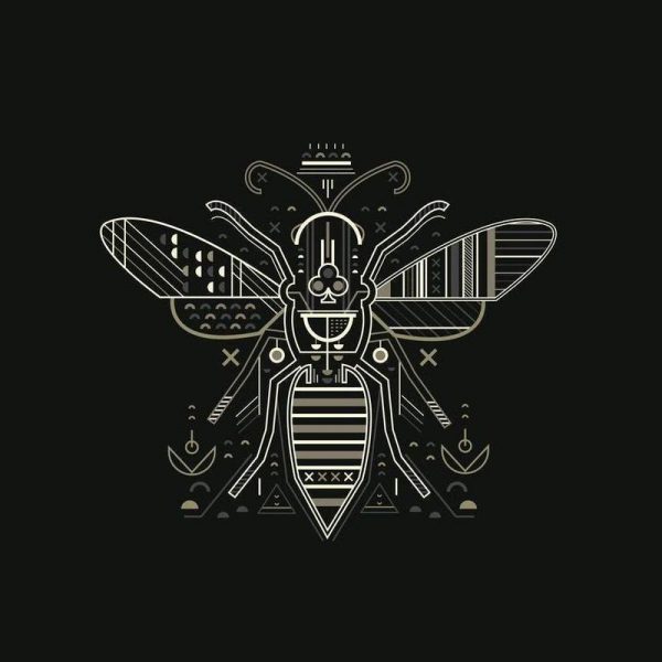 Zenith Wasp Leinwandbild Zenith Wasp Leinwandbild