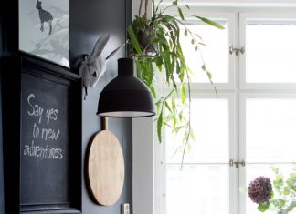 The Ultimate Guide to Indoor Hanging Plants
