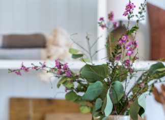 Take a Seat: Half Baked Harvest’s Tieghan Gerard
