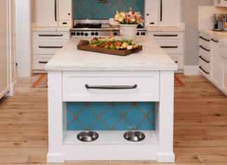 6 Home Upgrades Every Pet Owner Needs
