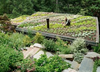Here’s Why You’ll Want a Living Green Roof on Your Home