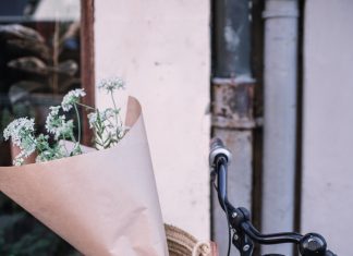 A Local’s Ultimate Guide to 24 Hours in Malmö, Sweden