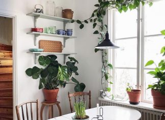 The Charming Swedish Home of a Plant and Flea Market Enthusiast
