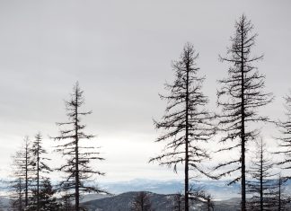 A Peek at the HGTV Dream Home 2019 in Whitefish, Montana