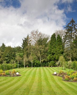 Stand Out From the Curb With These 5 Landscaping Trends