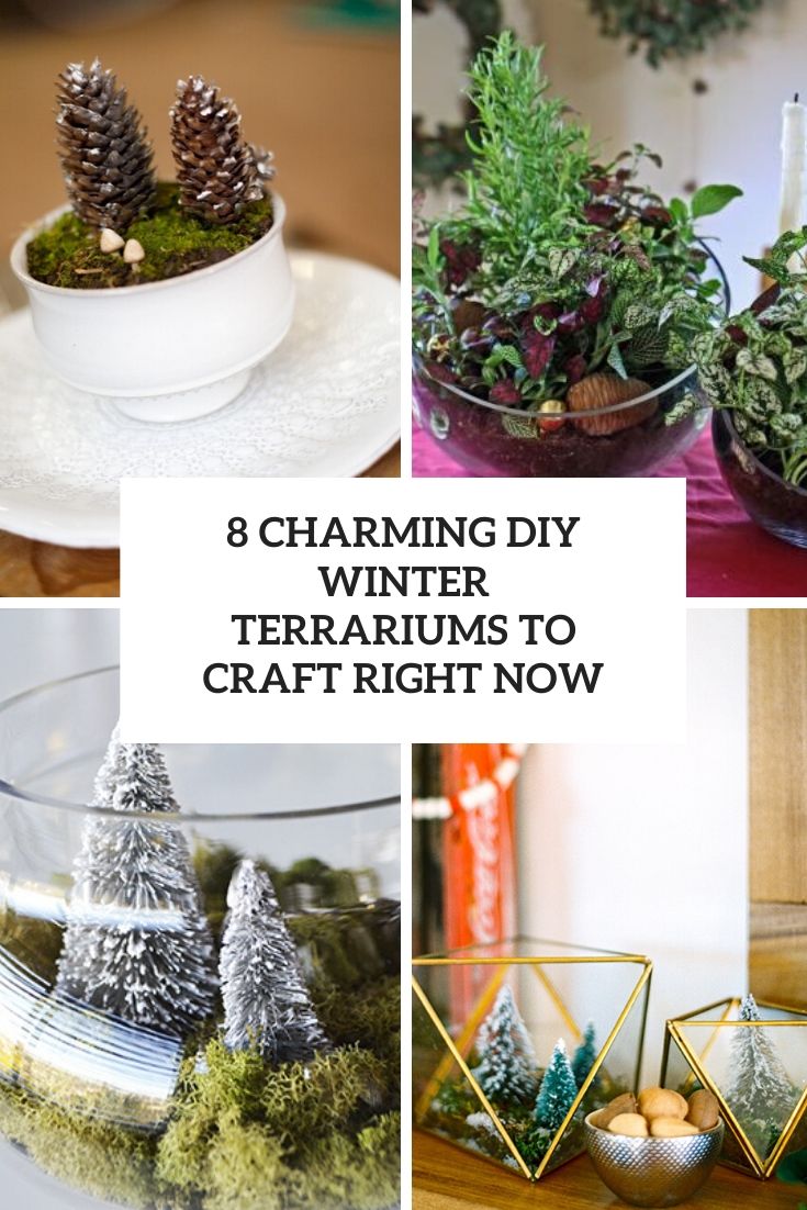 8-charming-diy-winter-terrariums-to-creaft-right-now-cover