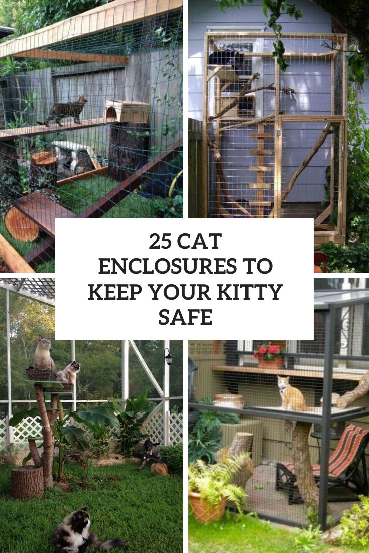 25-cat-enclosures-to-keep-your-kitty-safe-cover