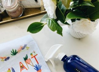 Happy Plant Spray for Your Home + Garden
