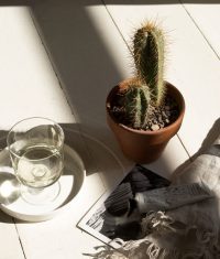 Nordic Garden Style For Balconies and Indoors