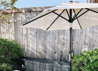 A Love of Organic Gardening