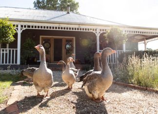 An Idyllic Farmhouse In Victoria, For a family of Five