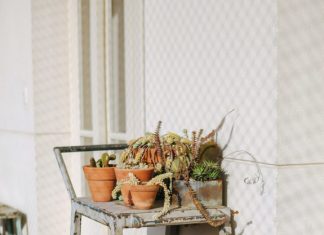 color story: au naturale.