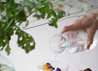 Three Simple And Refreshing Frozen Recipe Ideas For Balmy Summer days!
