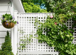 3 Ways to Create a Happy Garden