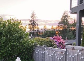 15 Little Life Updates + Home Style Saturdays