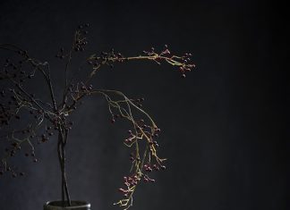 New tableware by Sergio Herman for Serax