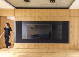 S House by Parasite Studio