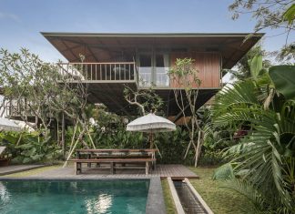 Treehouse C by Alexis Dornier