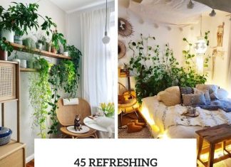 45 Refreshing Indoor Vine Ideas For Your Home