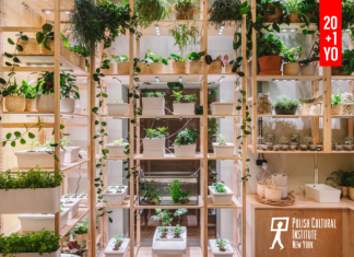 ECO Solidarity Unites 8 Designers + 8 Institutions to Address Climate Change Through Sustainable Design