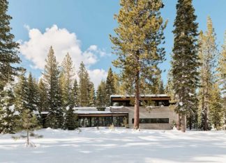 The Forest House Disappears Into Its Natural Surroundings
