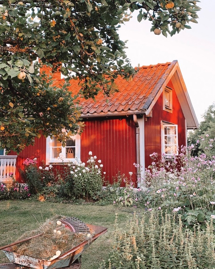 Swedish2520summer2520cottage2520renovation-30
