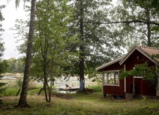 A Back-to-Basic Swedish Lakeside Cottage with a Wild Bathroom