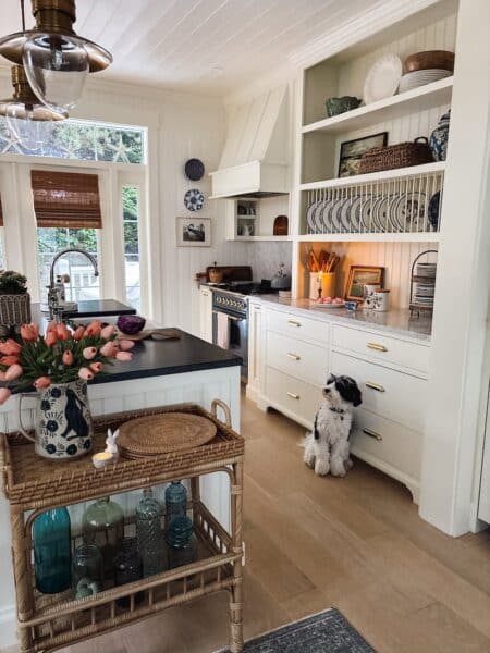 schnoodle-puppy-cozy-cottage-kitchen-the-inspired-room-450x600